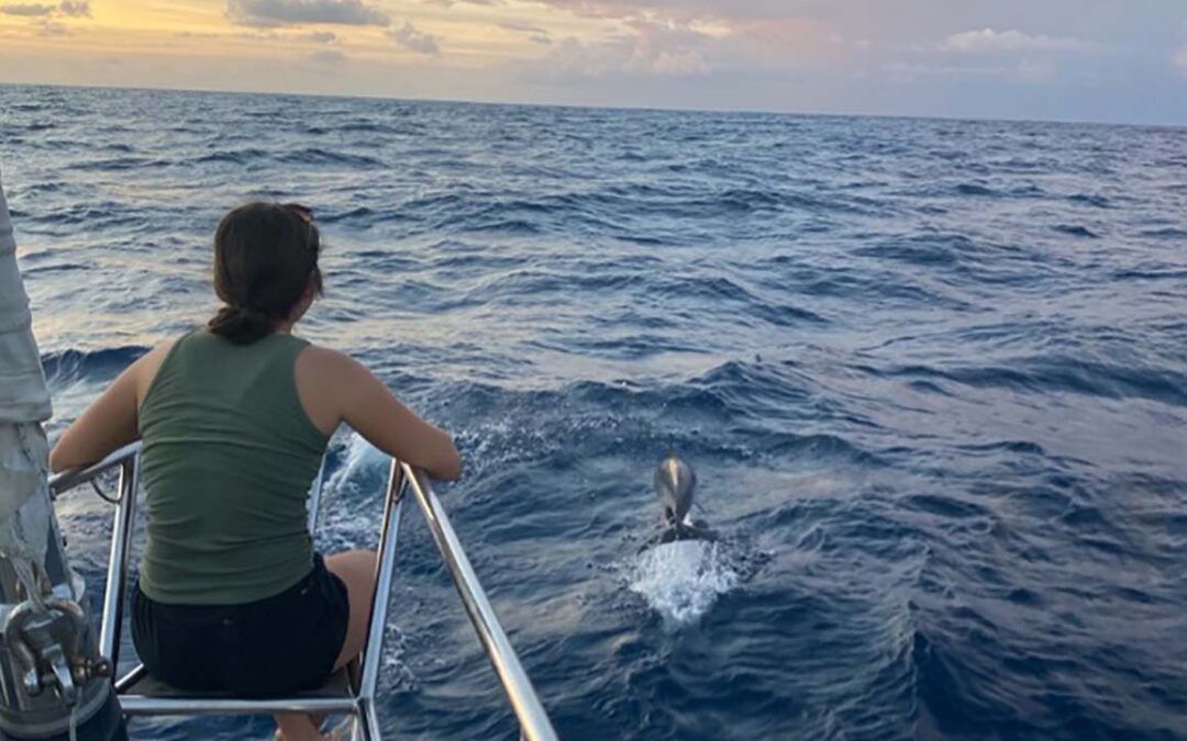 I Can Chronicles VI post featured image Anna sitting at the bow as dolphins leapt through the waves